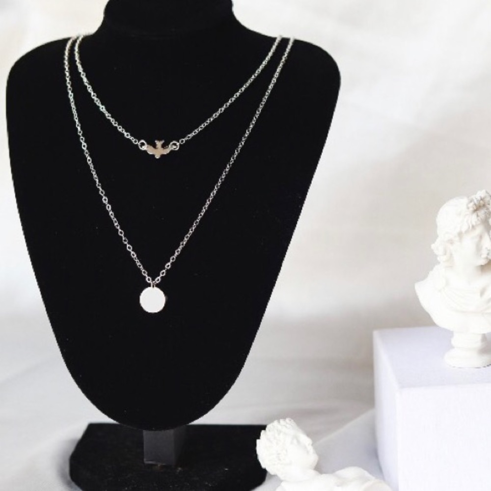 🎉 New Layered Dove & Coin Silver Choker Necklace